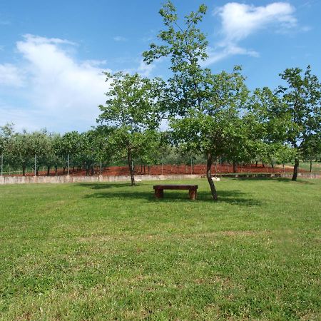 Holiday Home Rosa Gedici Exterior photo